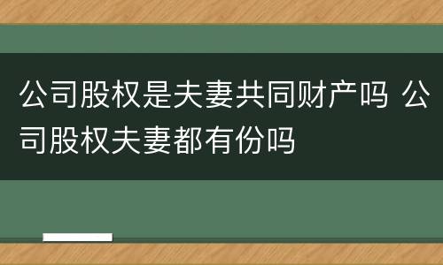 公司股权是夫妻共同财产吗 公司股权夫妻都有份吗