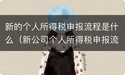 新的个人所得税申报流程是什么（新公司个人所得税申报流程）