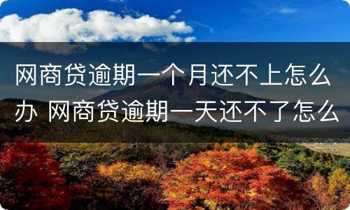 网商贷逾期一个月还不上怎么办 网商贷逾期一天还不了怎么办