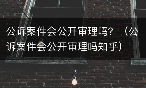 公诉案件会公开审理吗？（公诉案件会公开审理吗知乎）