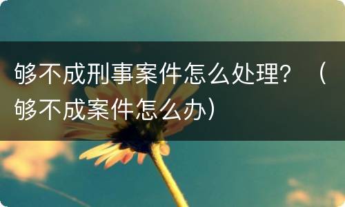 够不成刑事案件怎么处理？（够不成案件怎么办）