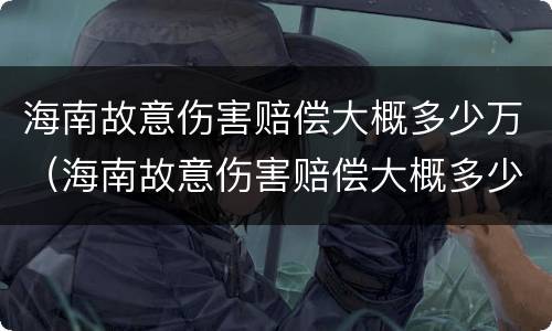海南故意伤害赔偿大概多少万（海南故意伤害赔偿大概多少万以上）