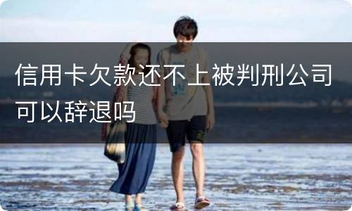 信用卡欠款还不上被判刑公司可以辞退吗