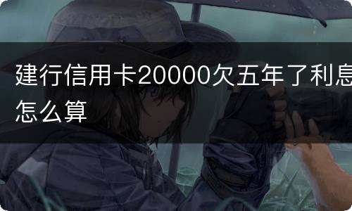 建行信用卡20000欠五年了利息怎么算