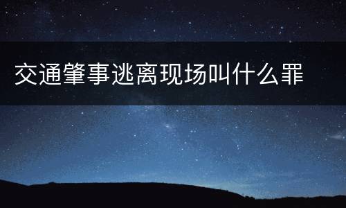 交通肇事逃离现场叫什么罪