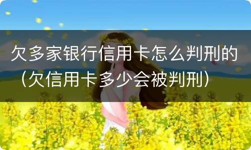 欠多家银行信用卡怎么判刑的（欠信用卡多少会被判刑）