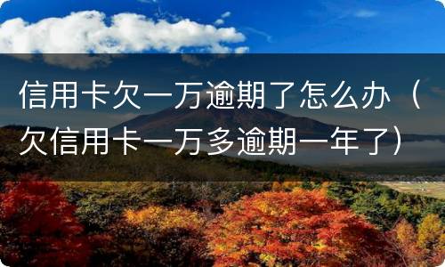 信用卡欠一万逾期了怎么办（欠信用卡一万多逾期一年了）