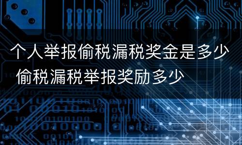 个人举报偷税漏税奖金是多少 偷税漏税举报奖励多少