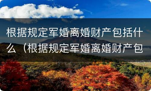 根据规定军婚离婚财产包括什么（根据规定军婚离婚财产包括什么意思）