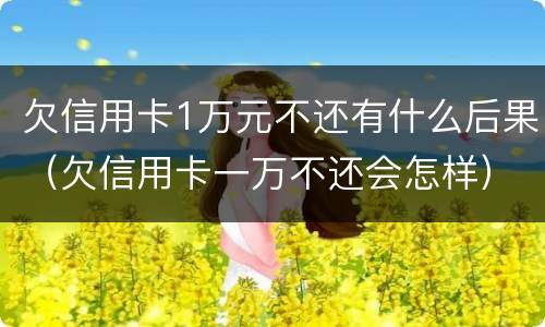 欠信用卡1万元不还有什么后果（欠信用卡一万不还会怎样）
