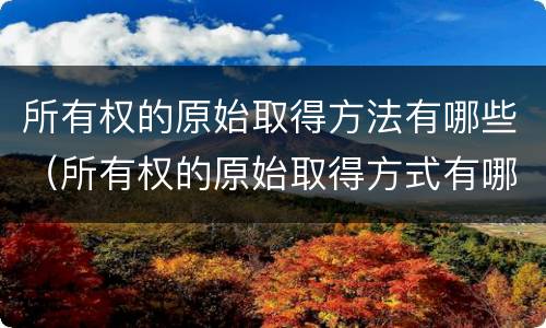 所有权的原始取得方法有哪些（所有权的原始取得方式有哪些）