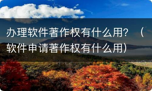 办理软件著作权有什么用？（软件申请著作权有什么用）