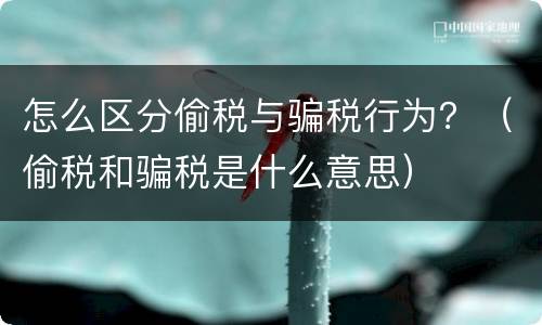 怎么区分偷税与骗税行为？（偷税和骗税是什么意思）