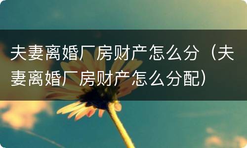 夫妻离婚厂房财产怎么分（夫妻离婚厂房财产怎么分配）