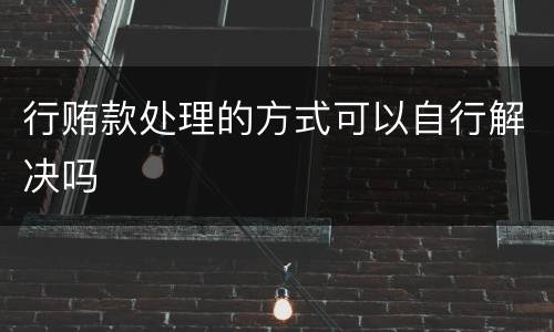 行贿款处理的方式可以自行解决吗