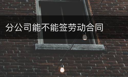 分公司能不能签劳动合同