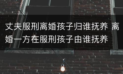 丈夫服刑离婚孩子归谁抚养 离婚一方在服刑孩子由谁抚养
