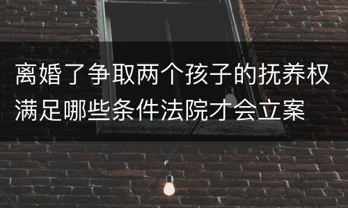 离婚了争取两个孩子的抚养权满足哪些条件法院才会立案