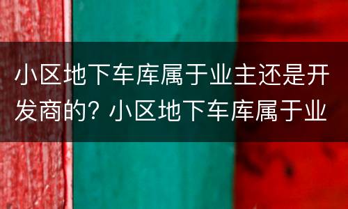 小区地下车库属于业主还是开发商的? 小区地下车库属于业主还是开发商的物业