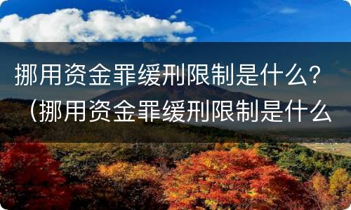 挪用资金罪缓刑限制是什么？（挪用资金罪缓刑限制是什么意思）