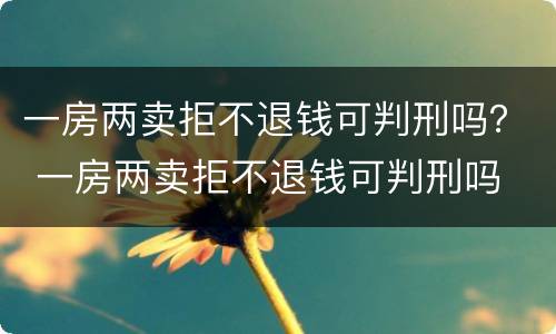 一房两卖拒不退钱可判刑吗？ 一房两卖拒不退钱可判刑吗