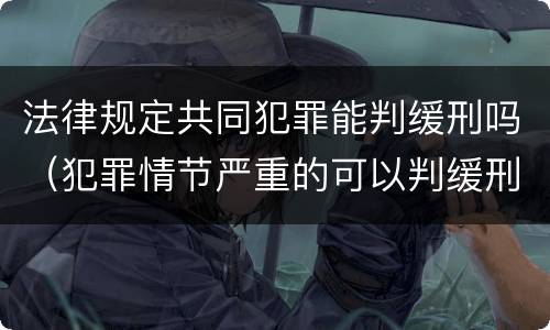 法律规定共同犯罪能判缓刑吗（犯罪情节严重的可以判缓刑吗）