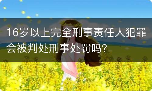 16岁以上完全刑事责任人犯罪会被判处刑事处罚吗？
