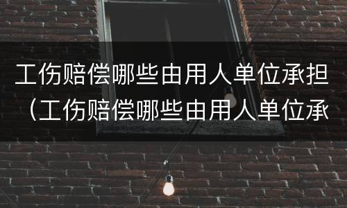 工伤赔偿哪些由用人单位承担（工伤赔偿哪些由用人单位承担责任）