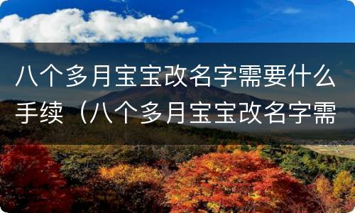 八个多月宝宝改名字需要什么手续（八个多月宝宝改名字需要什么手续呢）