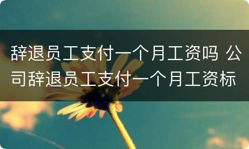 辞退员工支付一个月工资吗 公司辞退员工支付一个月工资标准包括哪些