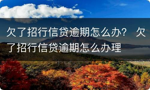 欠了招行信贷逾期怎么办？ 欠了招行信贷逾期怎么办理