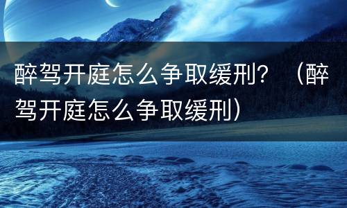 醉驾开庭怎么争取缓刑？（醉驾开庭怎么争取缓刑）