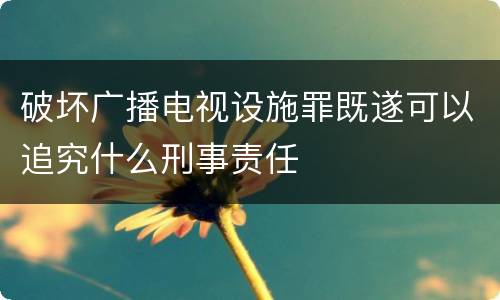 破坏广播电视设施罪既遂可以追究什么刑事责任