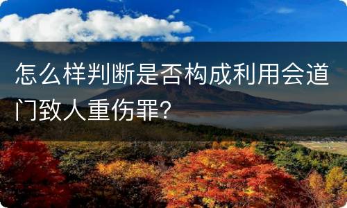 怎么样判断是否构成利用会道门致人重伤罪？