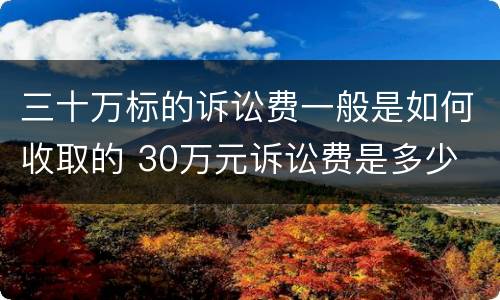 三十万标的诉讼费一般是如何收取的 30万元诉讼费是多少