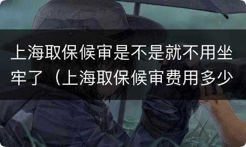 上海取保候审是不是就不用坐牢了（上海取保候审费用多少钱）