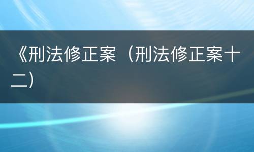 《刑法修正案（刑法修正案十二）