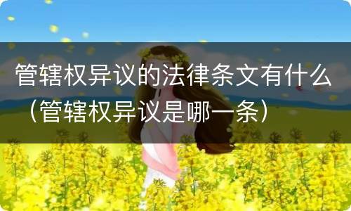 管辖权异议的法律条文有什么（管辖权异议是哪一条）