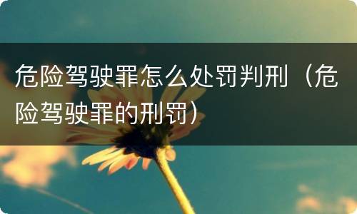 危险驾驶罪怎么处罚判刑（危险驾驶罪的刑罚）
