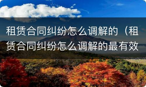 租赁合同纠纷怎么调解的（租赁合同纠纷怎么调解的最有效）