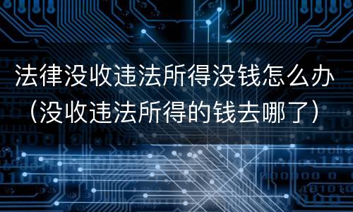 法律没收违法所得没钱怎么办（没收违法所得的钱去哪了）