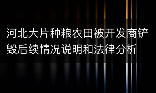 河北大片种粮农田被开发商铲毁后续情况说明和法律分析