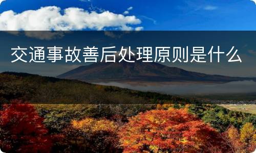 交通事故善后处理原则是什么
