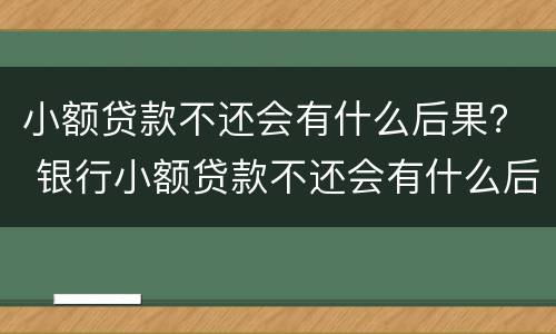 小额贷款不还会有什么后果？ 银行小额贷款不还会有什么后果