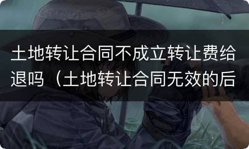 土地转让合同不成立转让费给退吗（土地转让合同无效的后果）