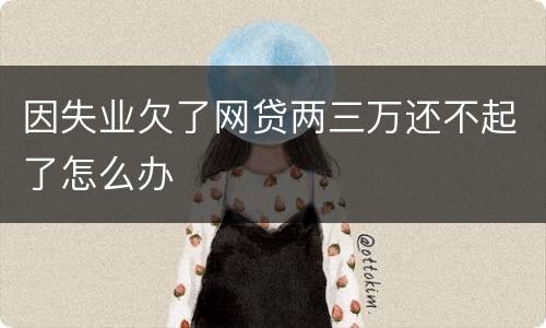 因失业欠了网贷两三万还不起了怎么办