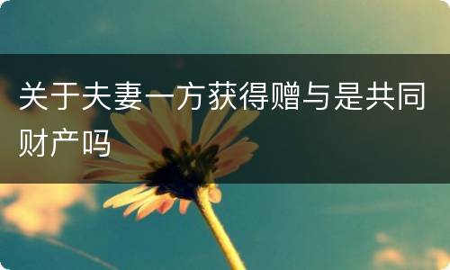 关于夫妻一方获得赠与是共同财产吗