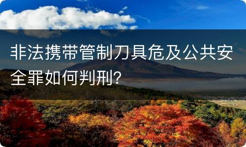 非法携带管制刀具危及公共安全罪如何判刑？