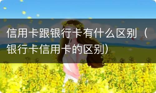 信用卡跟银行卡有什么区别（银行卡信用卡的区别）