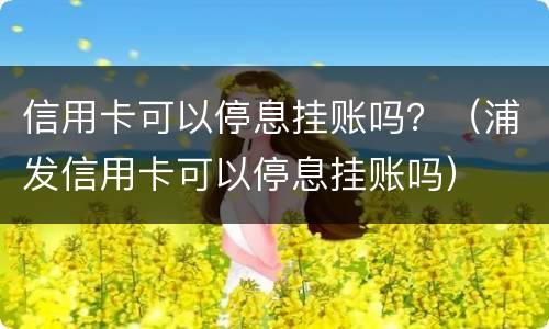 信用卡可以停息挂账吗？（浦发信用卡可以停息挂账吗）